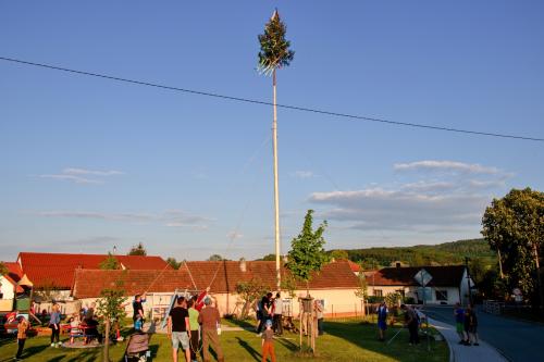 Stavění máje
